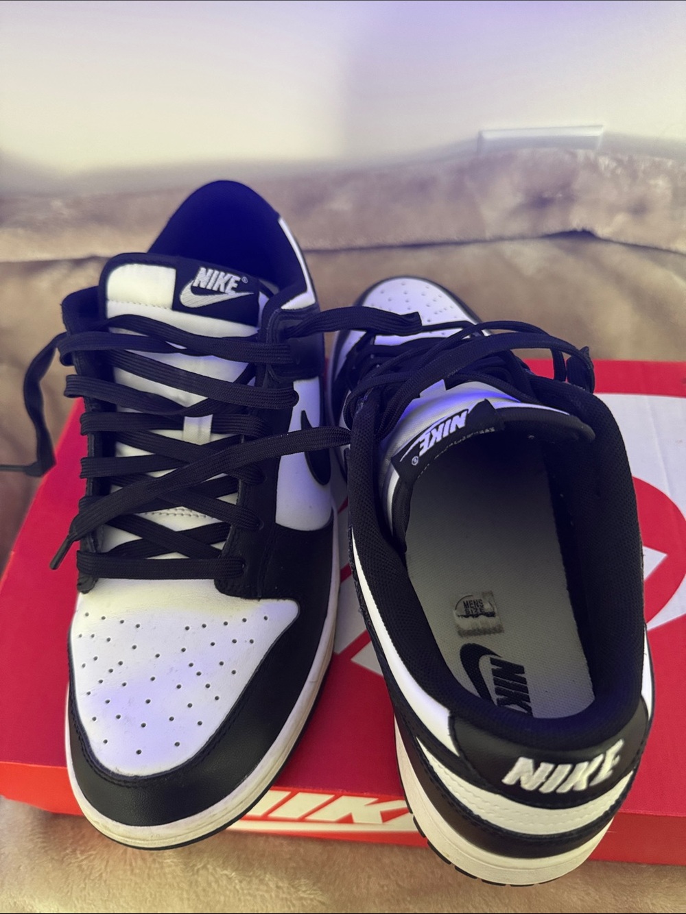 Nike Men’s Black/White Dunk Low-Top Sneakers